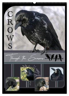 Crows - Through the Seasons (Wall Calendar 2026 DIN A2 portrait), CALVENDO 12 Month Wall Calendar Crows - Through the Seasons (Wall Calendar 2026 DIN A2 portrait), CALVENDO 12 Month Wall Calendar