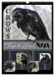 Crows - Through the Seasons (Wall... - Bild 1
