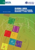 Álgebra Lineal: Sus Aplicaciones En Economía, Ingenierías Y Otras Ciencias (eBook, PDF)