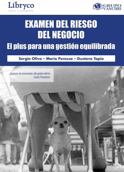 Cover Examen Del Riesgo Del Negocio: El Plus Para Una Gestión Equilibrada (eBook, PDF)