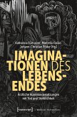 Imaginationen des Lebensendes (eBook, PDF)