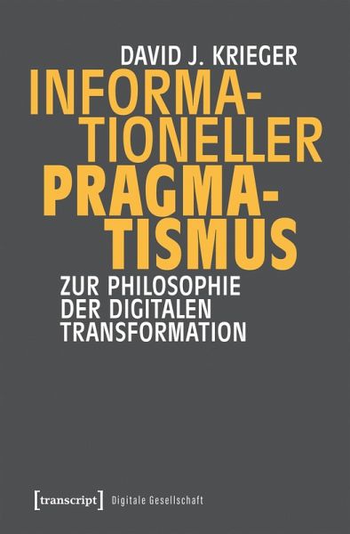 Informationeller Pragmatismus (eBook, PDF)