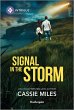 Signal in the Storm (eBook, ePUB) - Bild 1