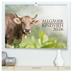 Allgäuer Rindvieh 2026 (hochwertiger Premium Wandkalender 2026 DIN A2 quer), Kunstdruck in Hochglanz