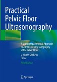 Practical Pelvic Floor Ultrasonography