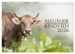 Allgäuer Rindvieh 2026 (Tischkalender 2026 DIN A5 quer), CALVENDO Monatskalender