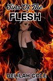 Sins Of The Flesh (eBook, ePUB) Sins Of The Flesh (eBook, ePUB)