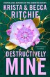 Destructively Mine (eBook, ePUB) - Bild 1