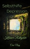 Kleiner Ratgeber: Selbsthilfe Depression (eBook, ePUB)