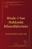 Risale-i Nur Hakkinda Bilmediklerimiz (Bilinmeyen Gerçekler Dizisi, #3) (eBook, ePUB)