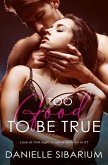 Too Good to be True (eBook, ePUB) Too Good to be True (eBook, ePUB)