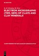 Electron micrographs (TEM, SEM) of... - Bild 1
