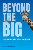 Beyond the Big Beyond the Big