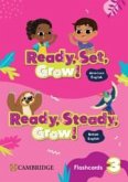 Ready, Set, Grow! Level 3 Flashcards American English Ready, Set, Grow! Level 3 Flashcards American English