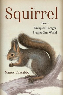 Cover Squirrel