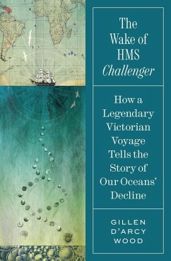 The Wake of HMS Challenger - Wood