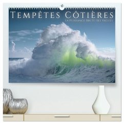 Tempêtes côtières - La puissance brute des vagues (Calendrier mural 2026 DIN A2 vertical) calendrier de bureau