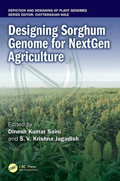 Cover Designing Sorghum Genome for NextGen Agriculture