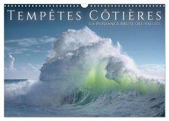 Tempêtes côtières - La puissance brute des vagues (Calendrier mural 2026 DIN A3 vertical), CALVENDO calendrier mensuel