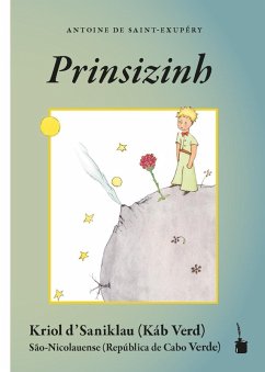 Cover Prinsizinh
