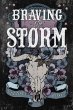 Braving the Storm - Bild 1