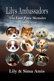 Lilys Ambassadors (eBook, ePUB)