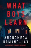 What Boys Learn (eBook, ePUB) What Boys Learn (eBook, ePUB)