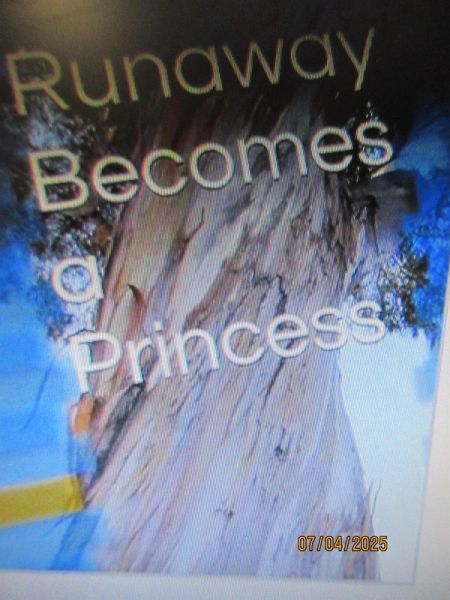 Runaway Becomes A Princess (eBook, ePUB)