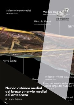 Cover Nervio cutáneo medial del brazo y nervio medial del antebrazo (eBook, ePUB)