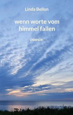 Cover wenn worte vom himmel fallen (eBook, ePUB)
