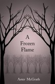 A Frozen Flame (eBook, ePUB)
