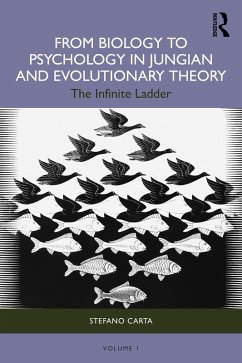 Cover From Biology to Psychology in Jungian and Evolutionary Theory (eBook, PDF)