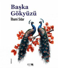 Cover Baska Gökyüzü