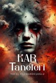 Kar Taneleri