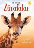 Zürafalar - Ilk Okuma Zürafalar - Ilk Okuma