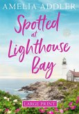 Spotted at Lighthouse Bay