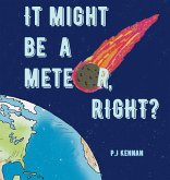 It Might Be a Meteor, Right? It Might Be a Meteor, Right?
