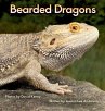 Bearded Dragons - Bild 1