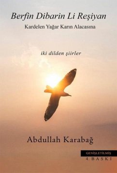 Cover Berfin Dibarin Li Resiyan - Kardelen Yagar Karin Alacasina - Iki Dilden Siirler