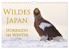 Wildes Japan - Hokkaido im Winter... - Bild 1