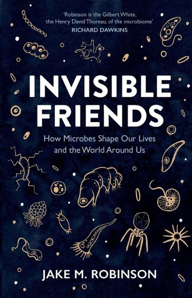 Invisible Friends Invisible Friends