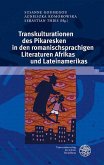 Transkulturationen des Pikaresken in den romanischsprachigen Literaturen Afrikas und Lateinamerikas (eBook, PDF)