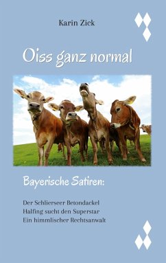 Oiss ganz normal (eBook, ePUB)