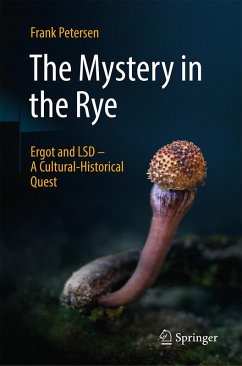 Cover The Mystery in the Rye (eBook, PDF)