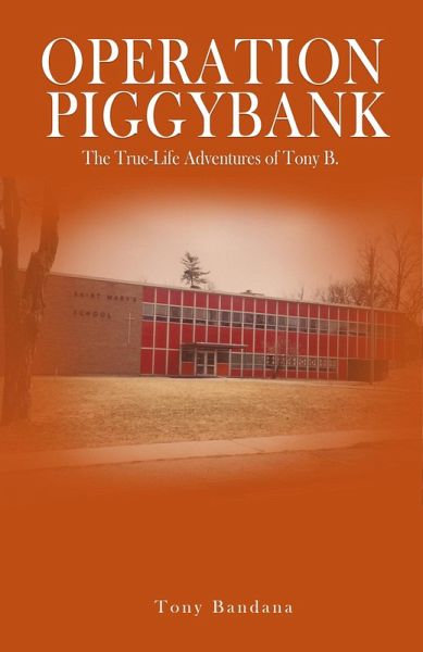 Operation Piggybank (eBook, ePUB)