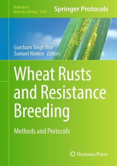 Wheat Rusts and Resistance Breeding (eBook, PDF)