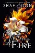 Mercy by Fire (eBook, ePUB) - Bild 1