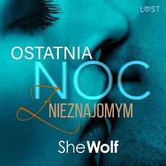 Cover Ostatnia noc z nieznajomym – opowiadanie erotyczne (MP3-Download)