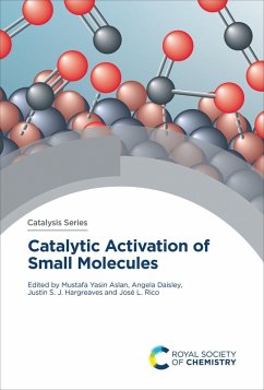 Cover Catalytic Activation of Small Molecules (eBook, ePUB)
