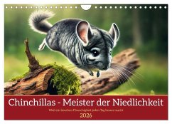 Chinchillas - Meister der Niedlichkeit (Wandkalender 2026 DIN A4 quer), CALVENDO Monatskalender Chinchillas - Meister der Niedlichkeit (Wandkalender 2026 DIN A4 quer), CALVENDO Monatskalender